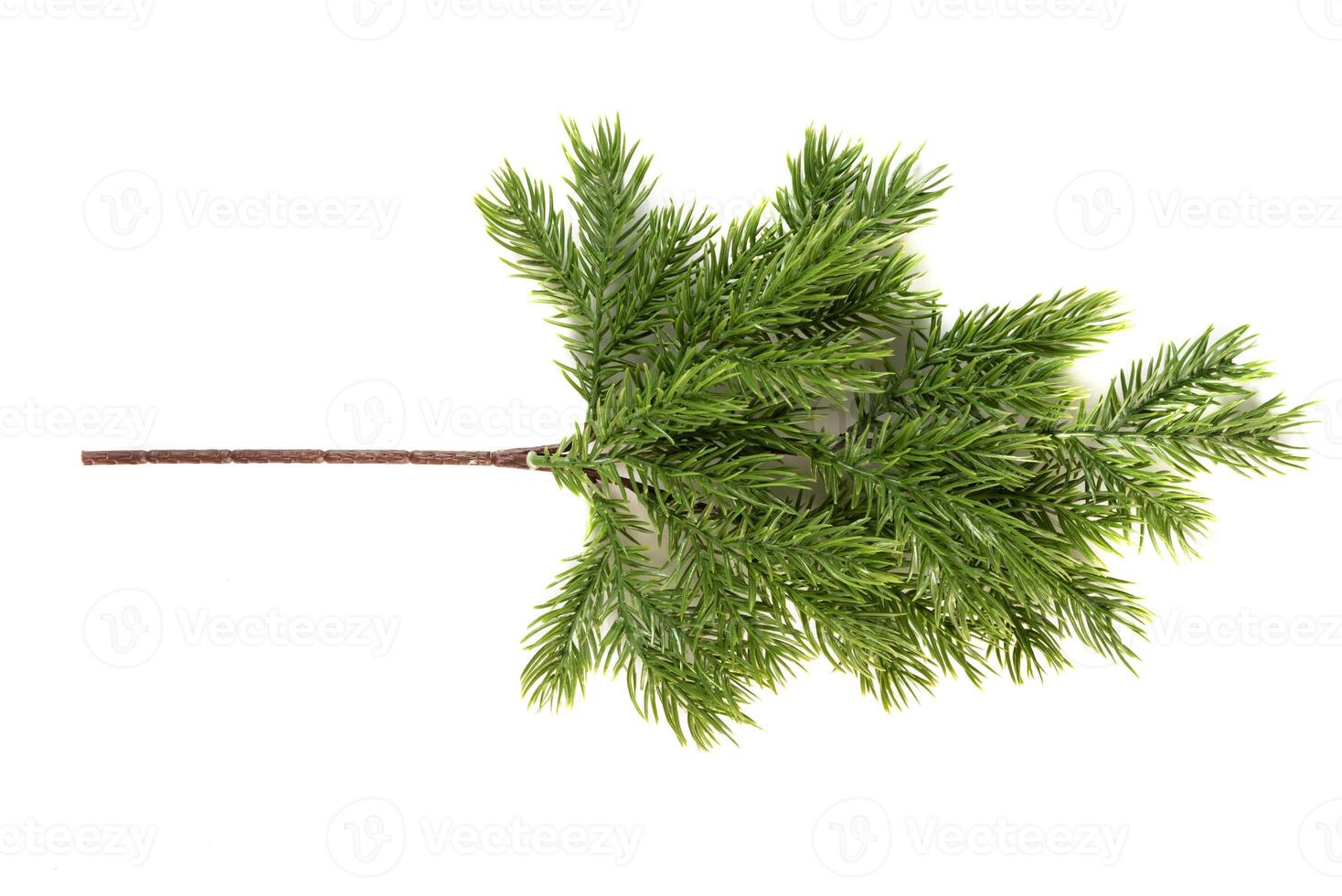 the Fake fir tree branch for decorating of bouquets and home photo
