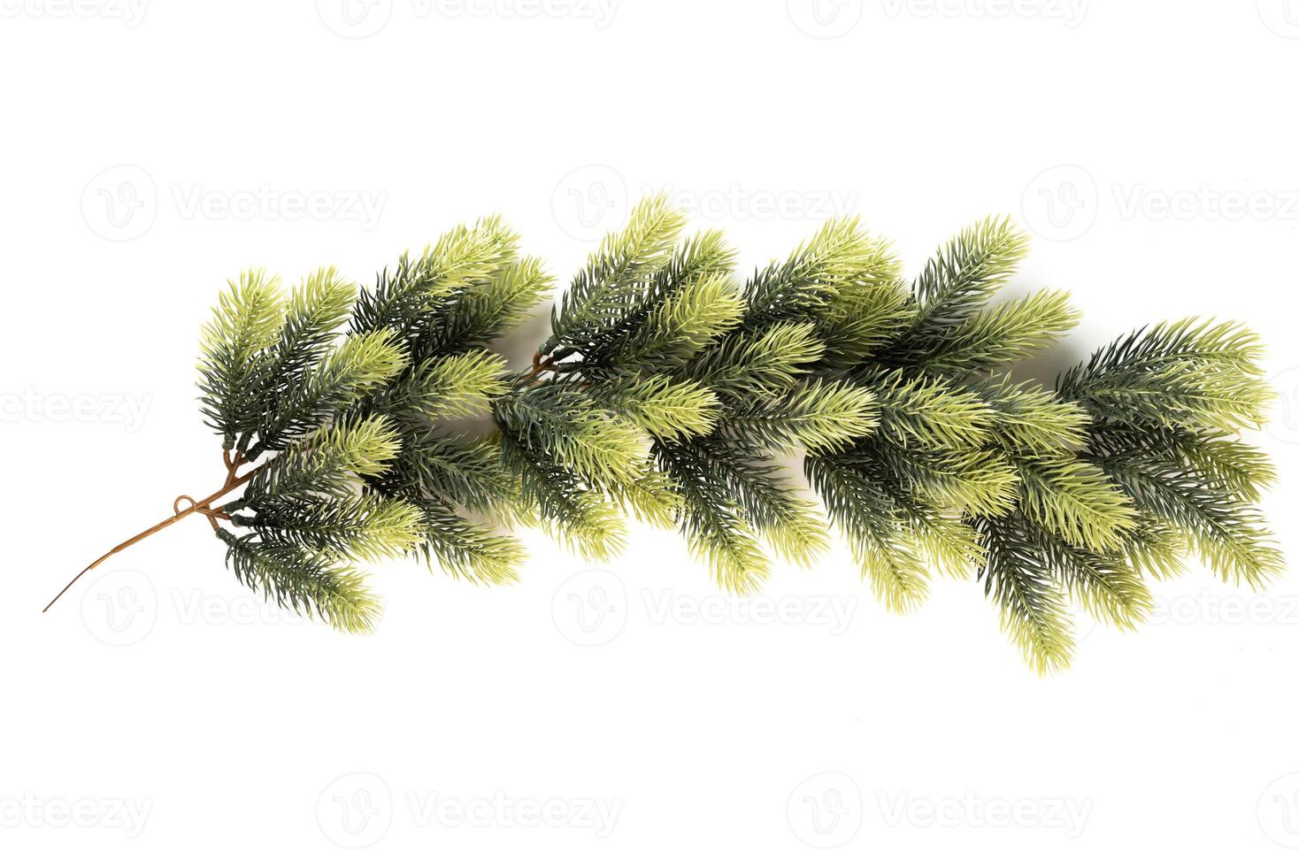 Fake fir tree branch for decor of bouquets and home photo