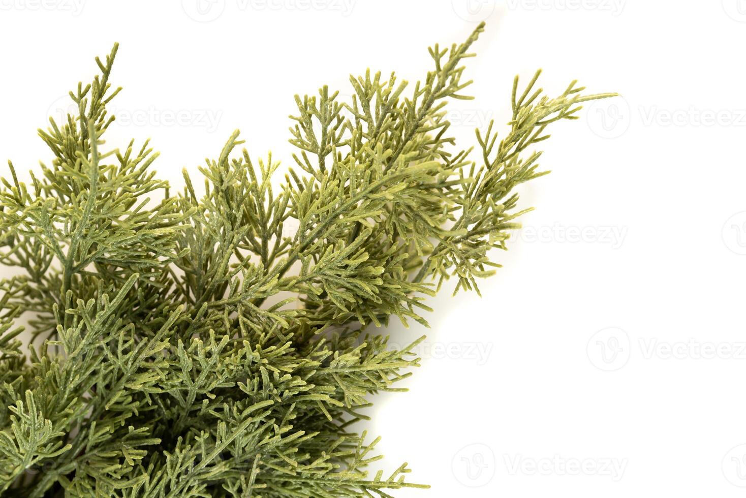 Fake fir tree branch for decorating photo