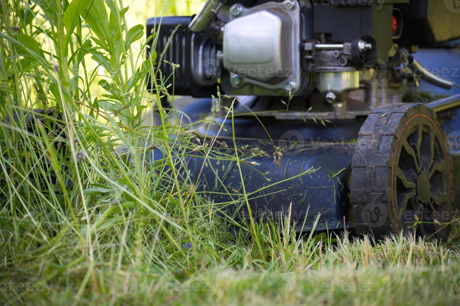 Close-Up View of Lawn Mower Cutting Overgrown Grass in Summertime photo