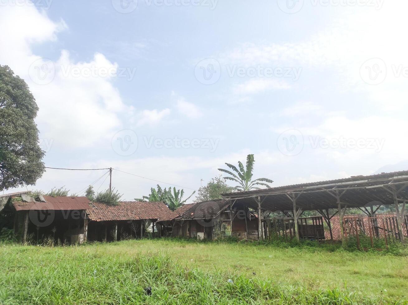 Landscape of a field overgrown with weeds with an abandoned hut in the background. Empty huts were built at the edge of the field, formerly used as food stalls. Abandoned area with Ads space photo