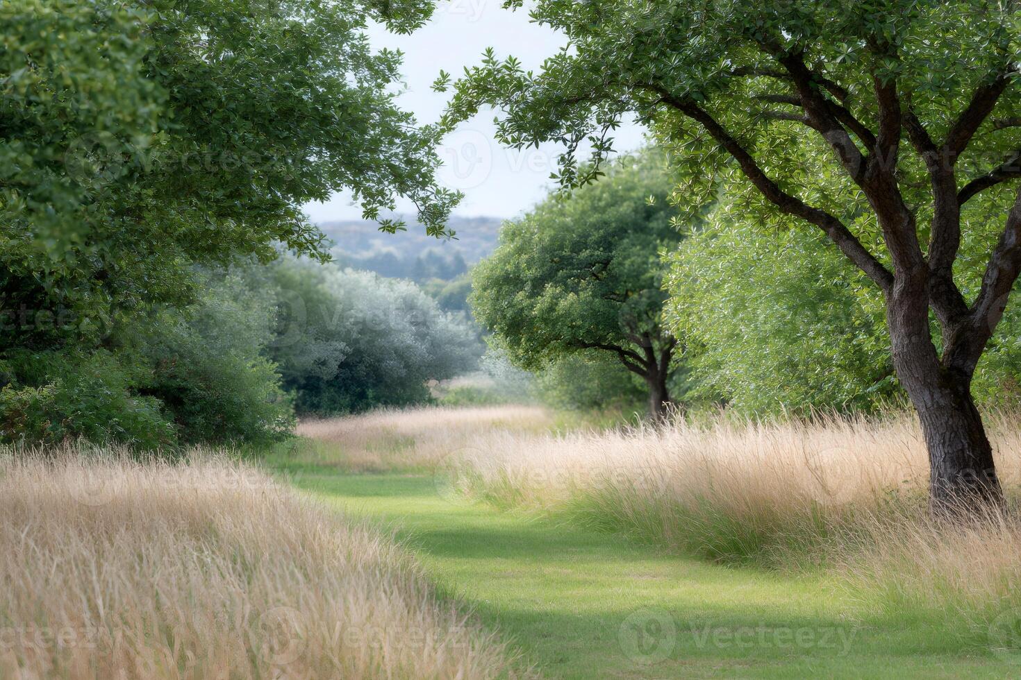 Path winding through tall grass in peaceful meadow photo