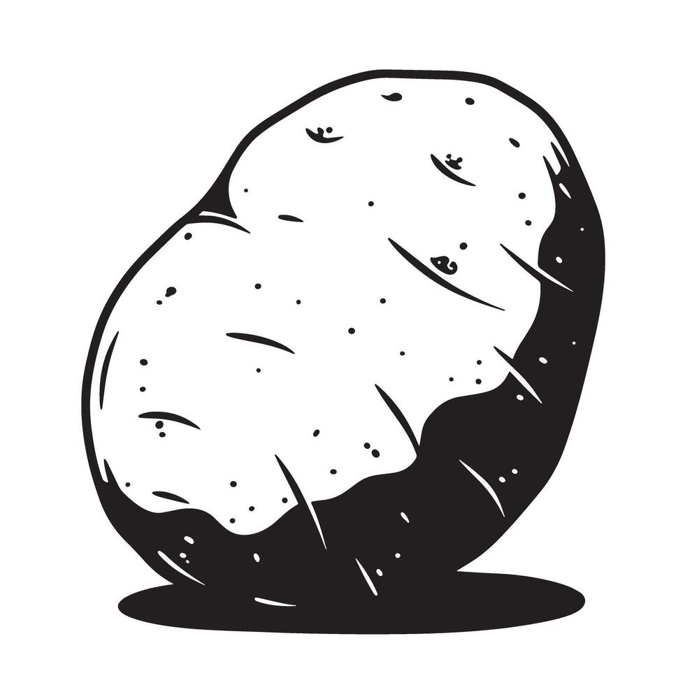 Black and white potato illustration tuber root vegetable vector
