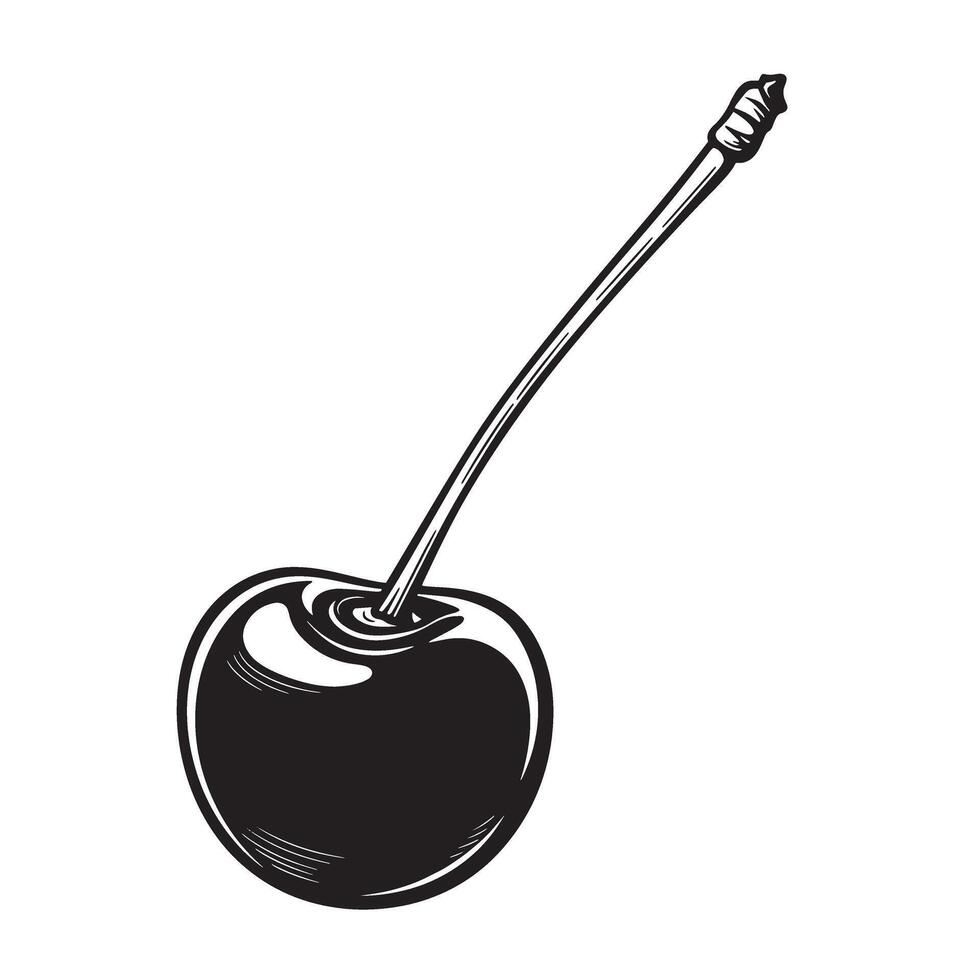 Single dark cherry with stem vintage art fruit food vector