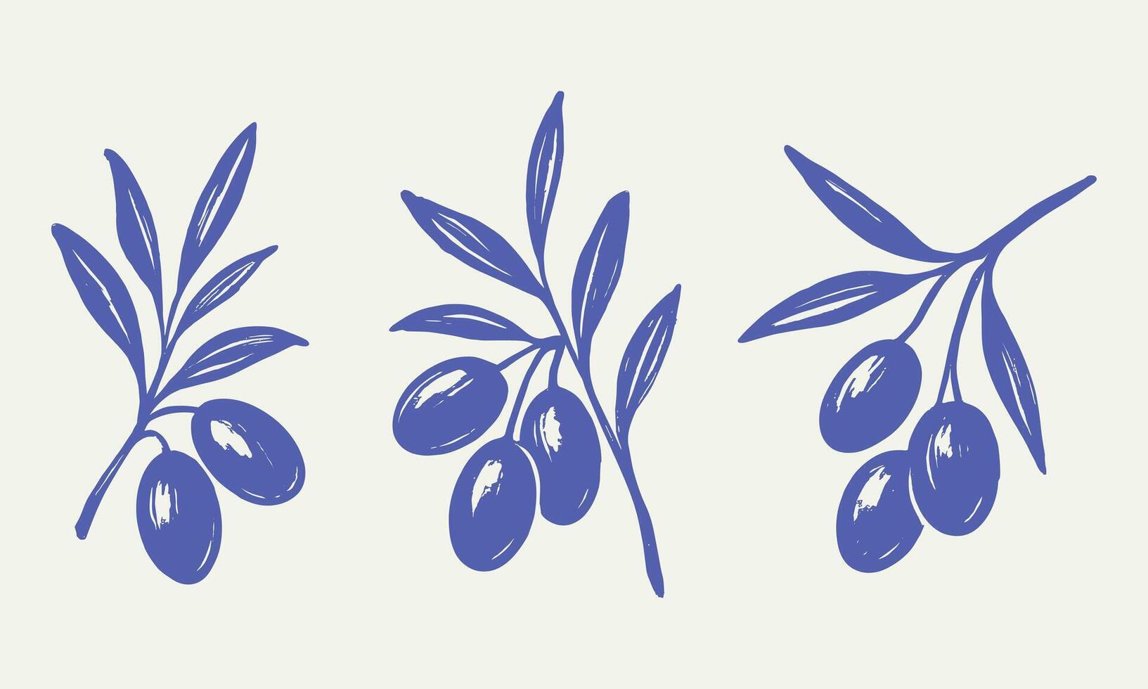 Minimal Olive Branch Set Hand Drawn Botanical Illustration vector