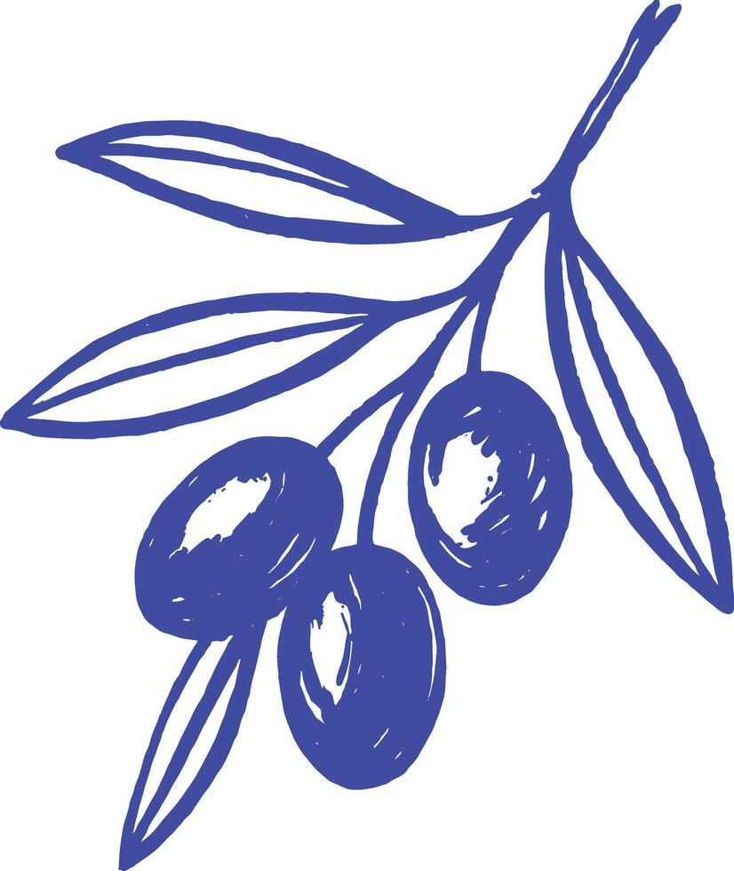 Olive Branch Hand Drawn Minimal Botanical Illustration vector