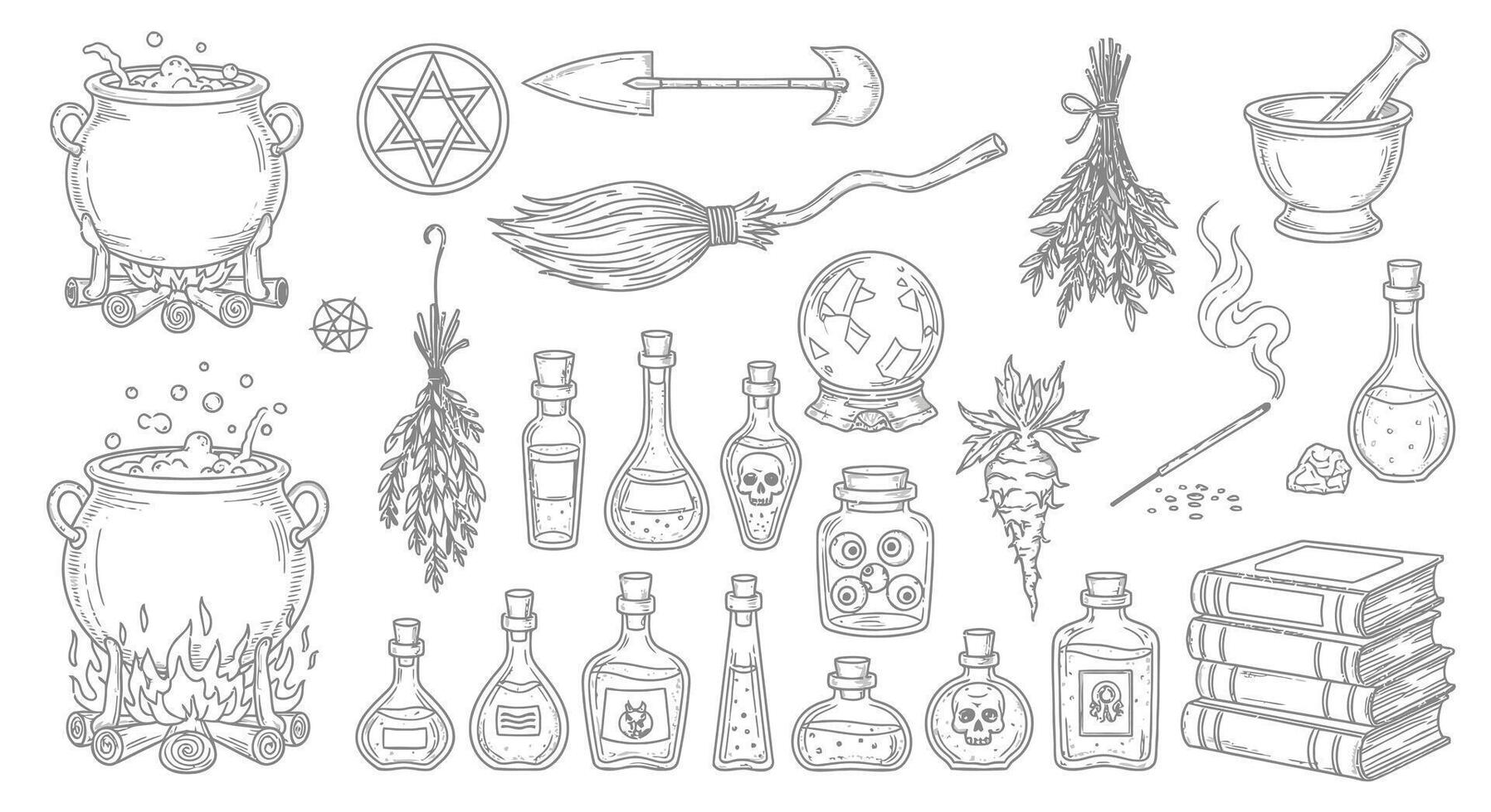Witchcraft Set Magic Ingredients with Tools. vector