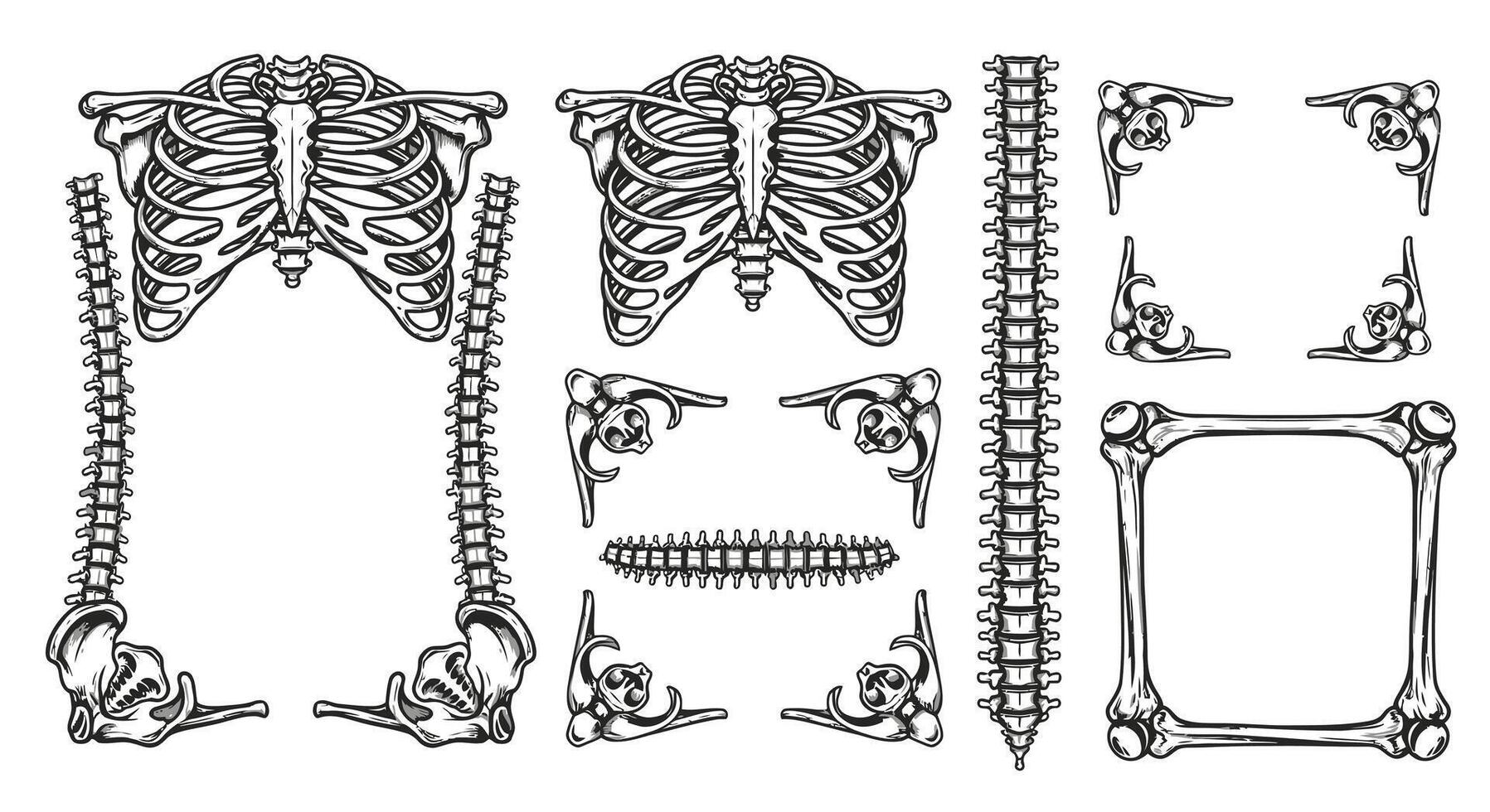 Skeleton Frame Gothic Bones Anatomy Art. vector