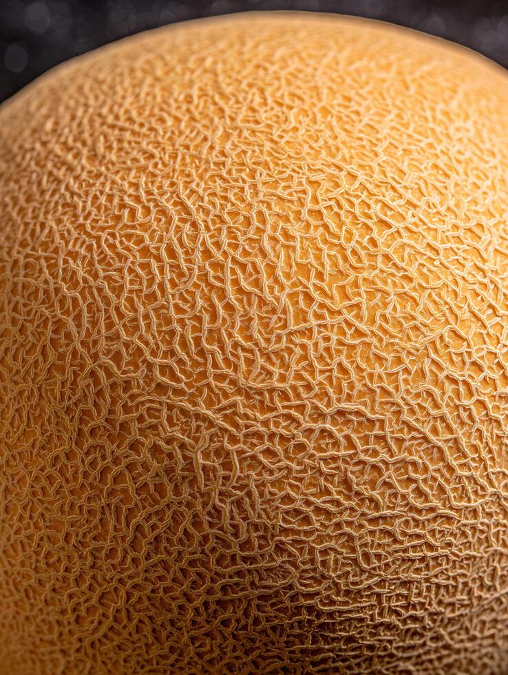 Close Up of Cantaloupe Rind Texture, Detailed Macro Photography of a Melon's Surface. photo