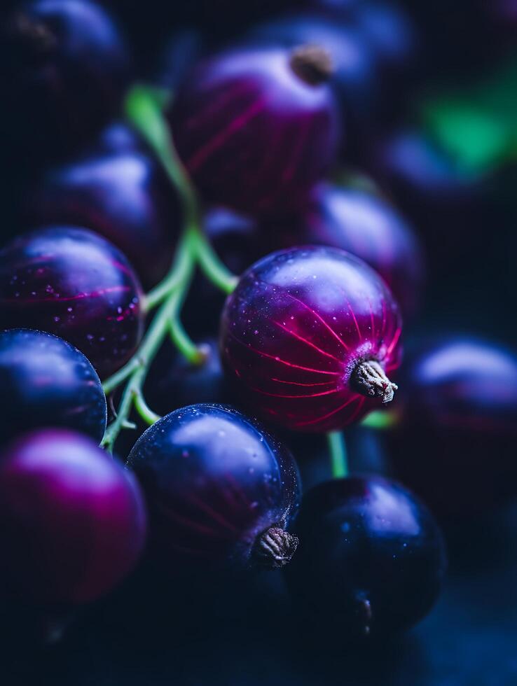 Close Up of a Bunch of Ripe Black Currants. A vibrant image showcasing the rich color and texture of the berries. photo