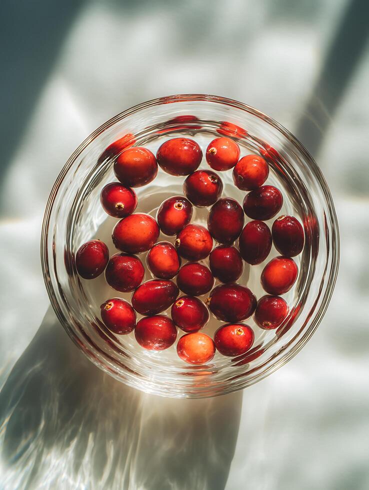 Cranberries Soaking in Glass Bowl, Overhead View. A close up image of fresh cranberries floating in water, illuminated by sunlight. photo