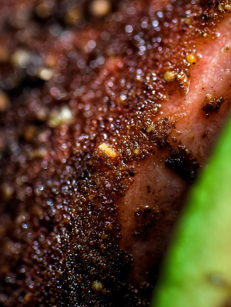 Extreme close up of seasoned meat, glistening with oil and spices. photo