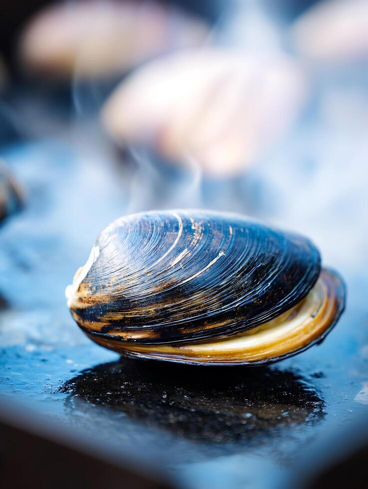 Steamed Clam Close Up, Fresh Seafood Detail. photo