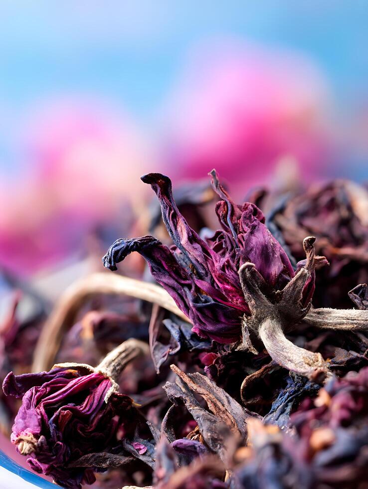 Close Up of Dried Hibiscus Flowers, Rich Purple and Brown Hues. photo
