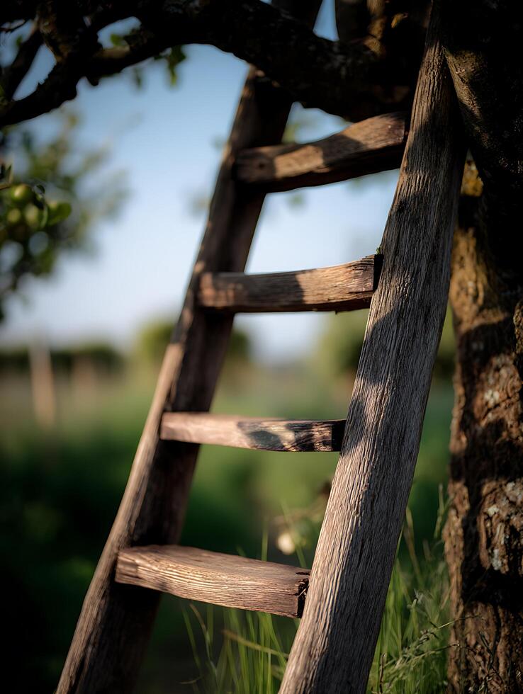 Rustic Wooden Ladder Leaning Against a Tree in a Lush Green Orchard. photo