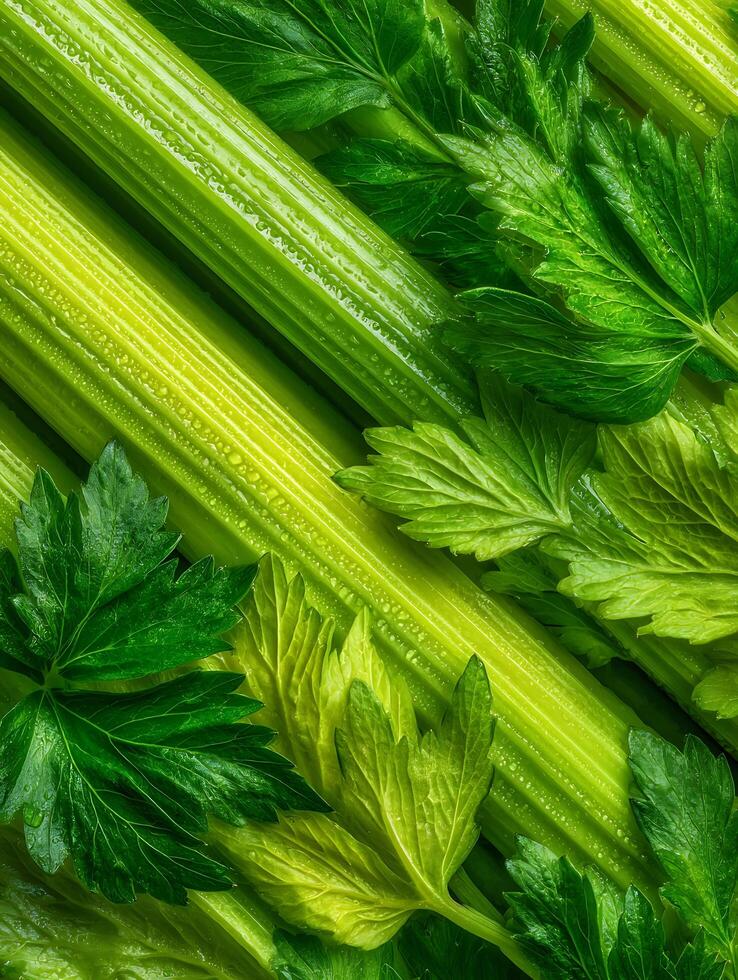 Fresh Celery Stalks and Leaves A Close Up of Vibrant Green Produce. photo