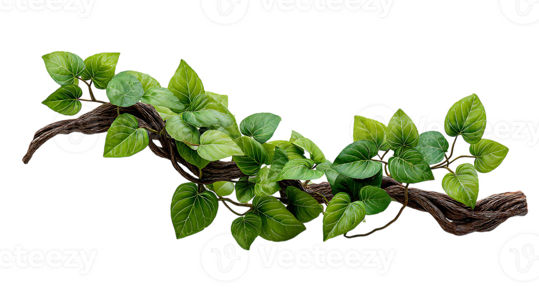 Vibrant green leaves adorning a textured wooden branch isolated on transparent background png
