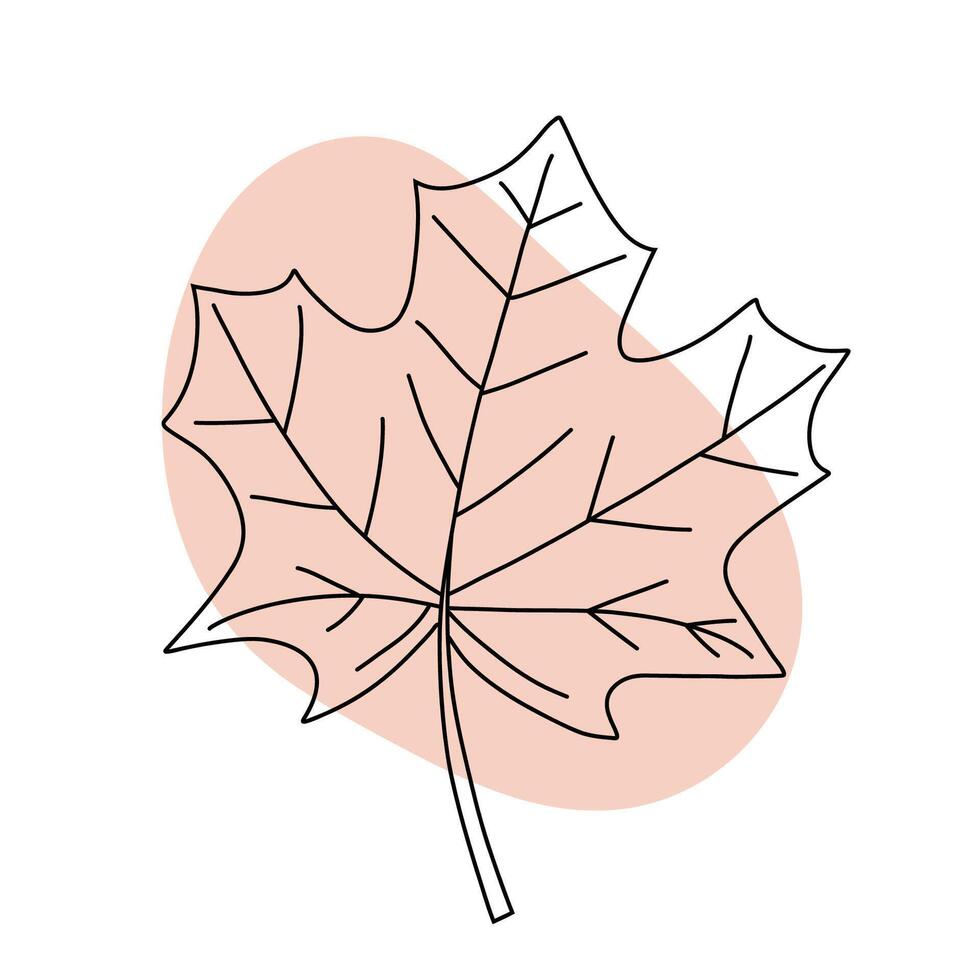 Abstract Maple Leaf Line Art Design vector