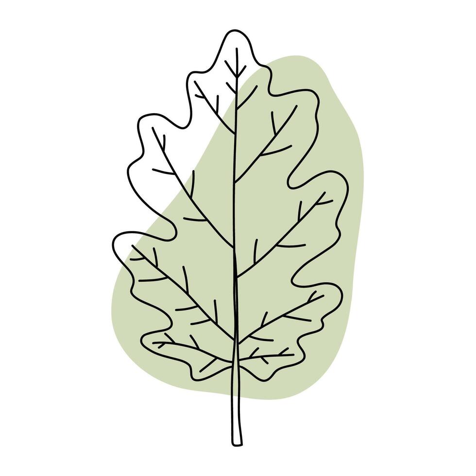 Green Oak Leaf Minimal Line Art Design vector