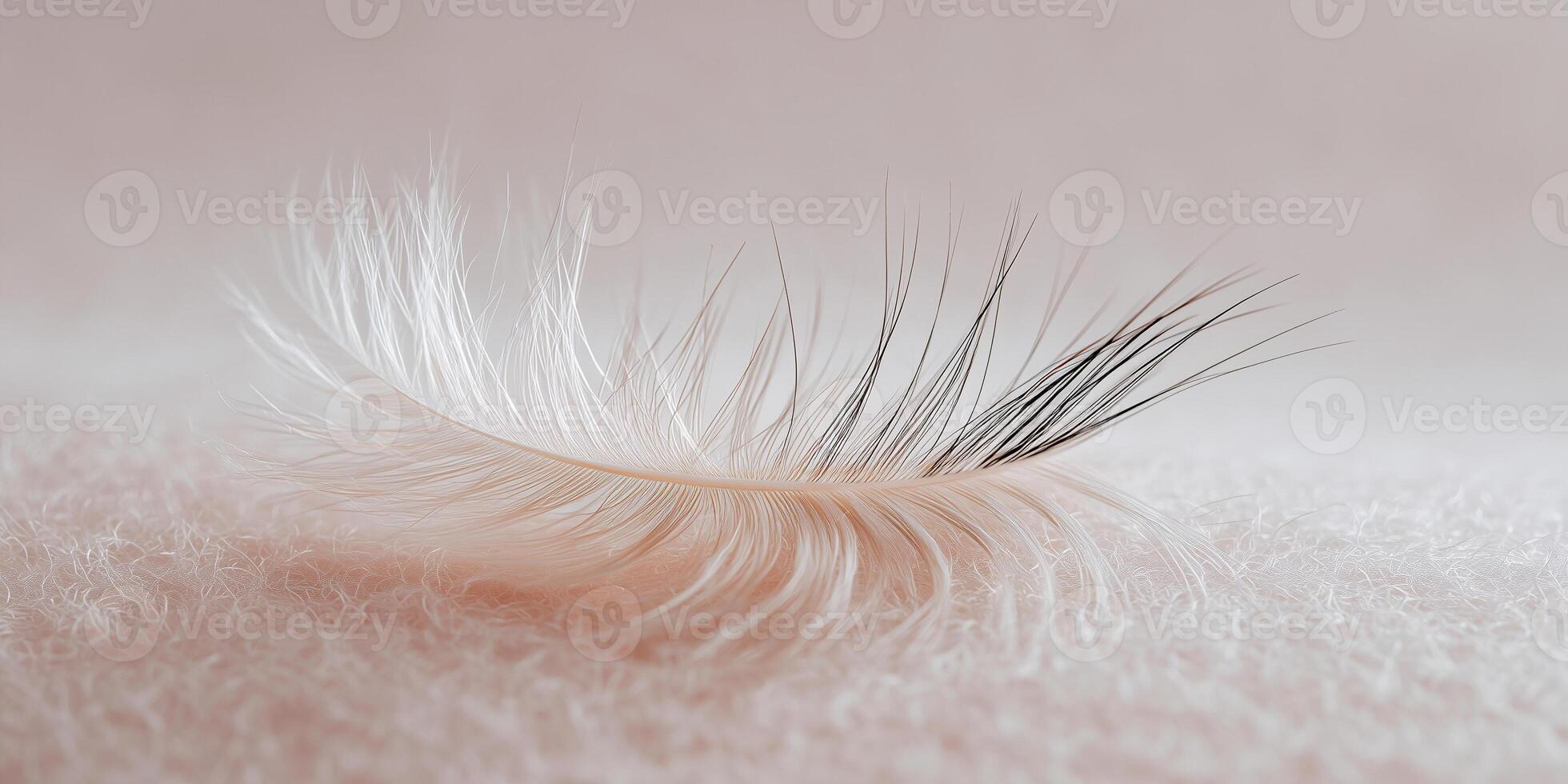 Human eyelash delicately resting on a white cotton pad against a soft peach background photo