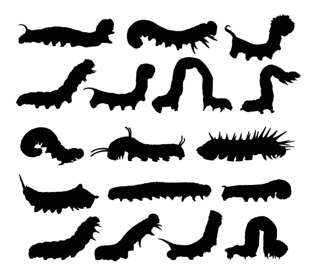 Set caterpillar silhouettes. vector