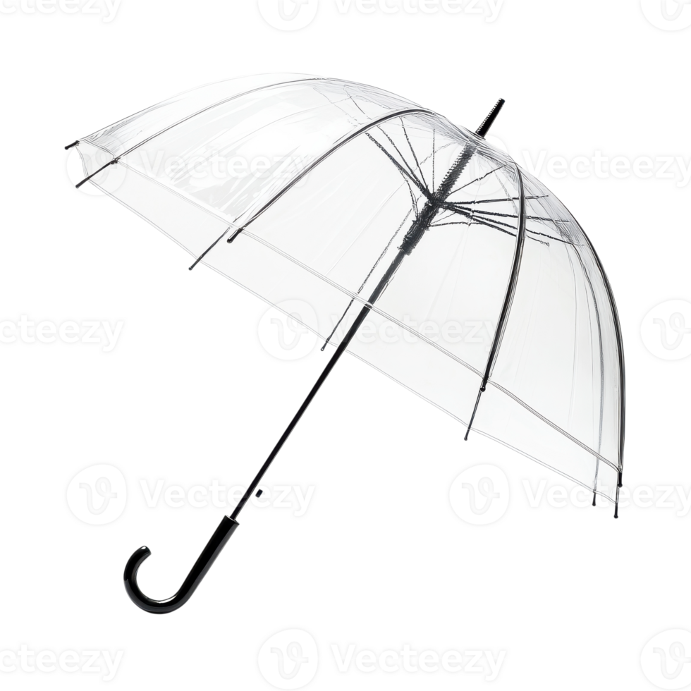 Clear bubble umbrella on transparent background png