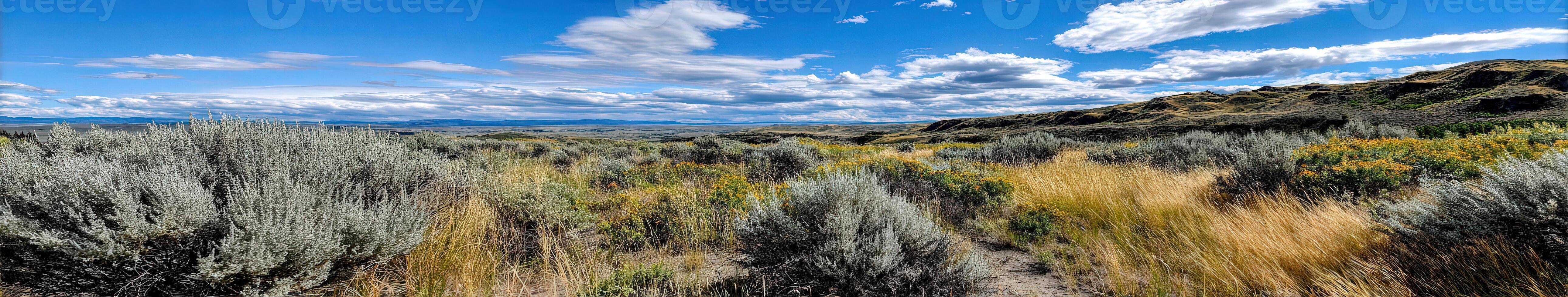 Vast landscape of sagebrush and grassland under a cloudy sky photo