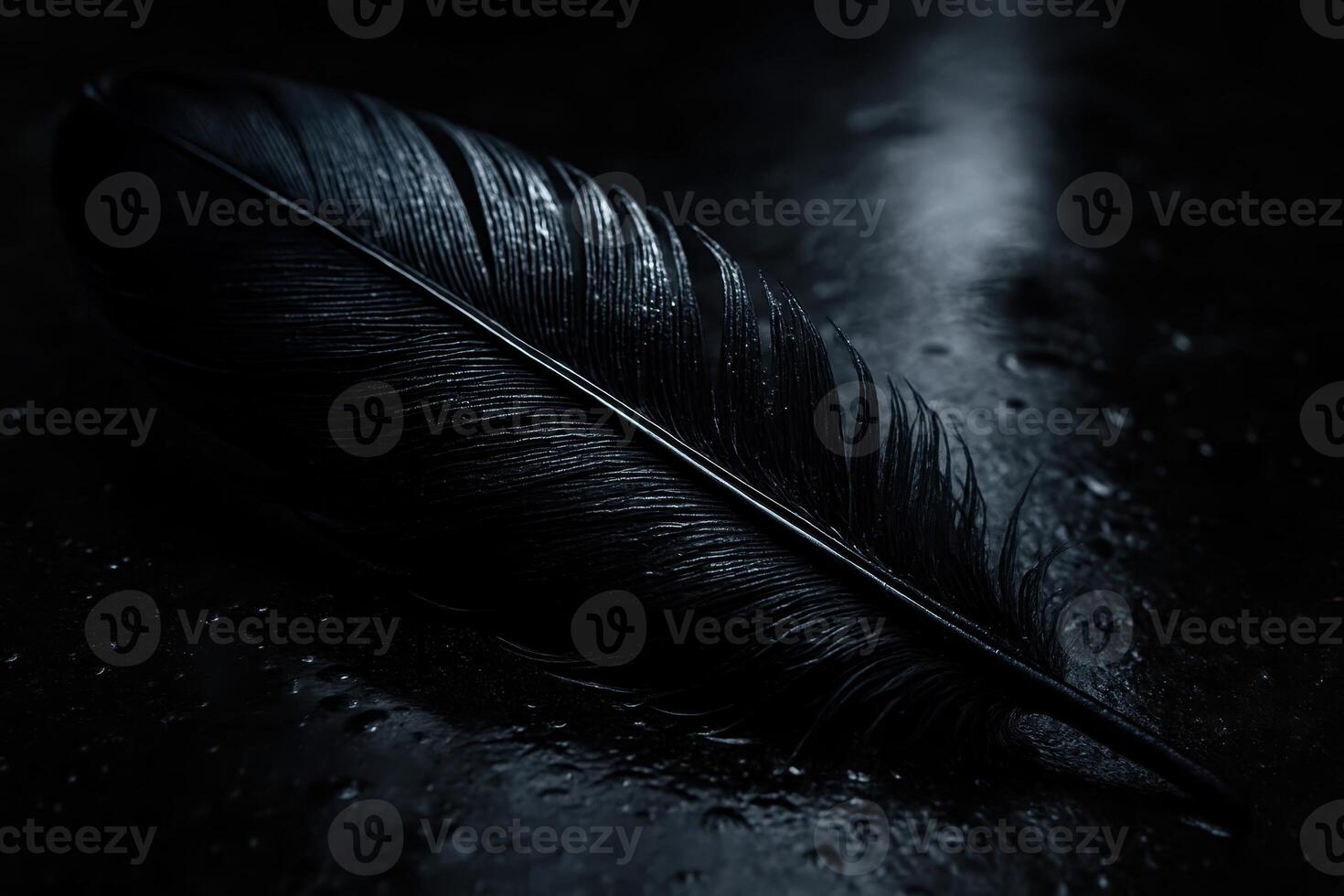 Dramatic close up of a black raven feather on a dark wet surface with water drops photo