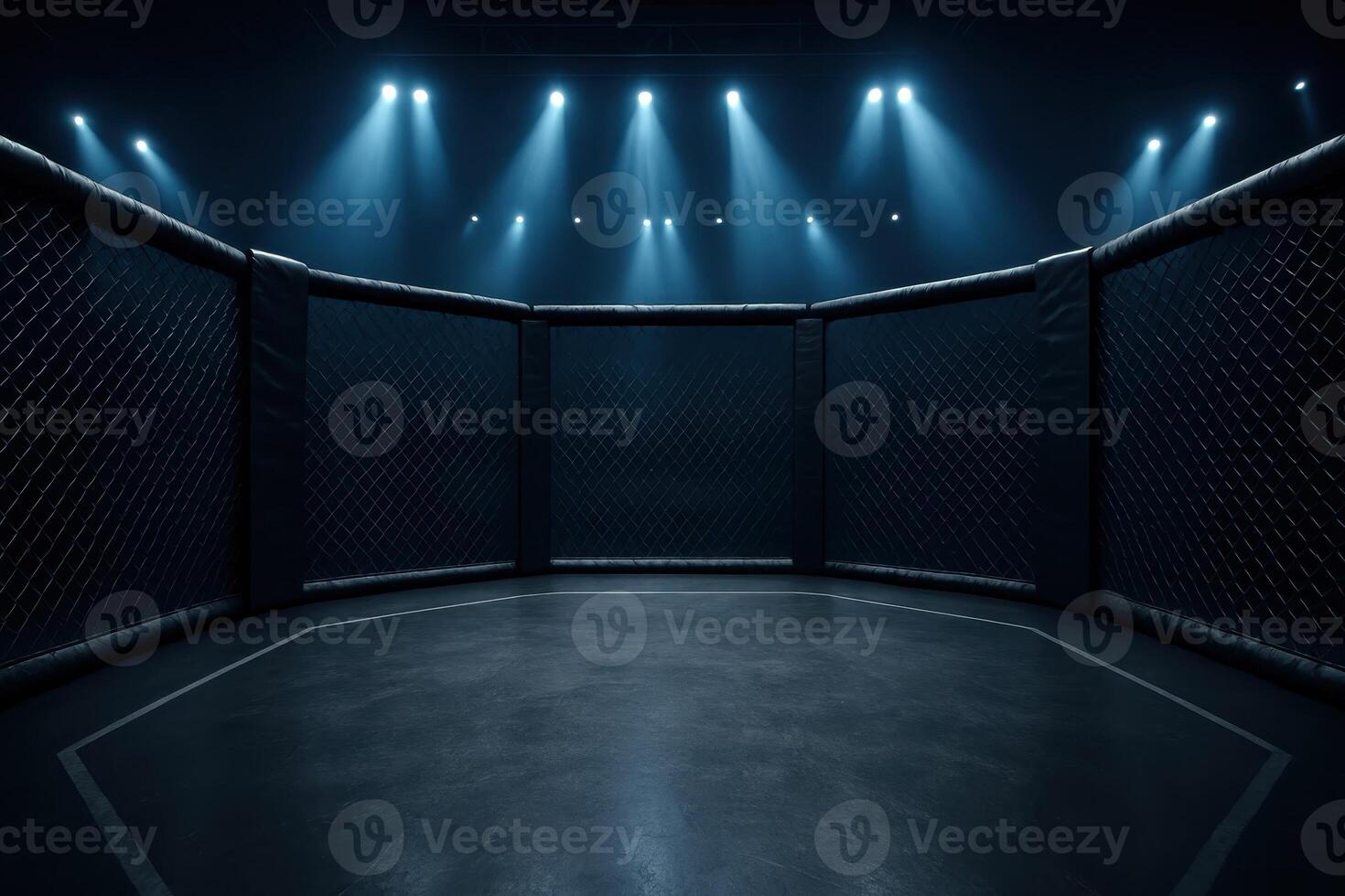 Empty mixed martial arts MMA cage in a dark arena with bright spotlights photo
