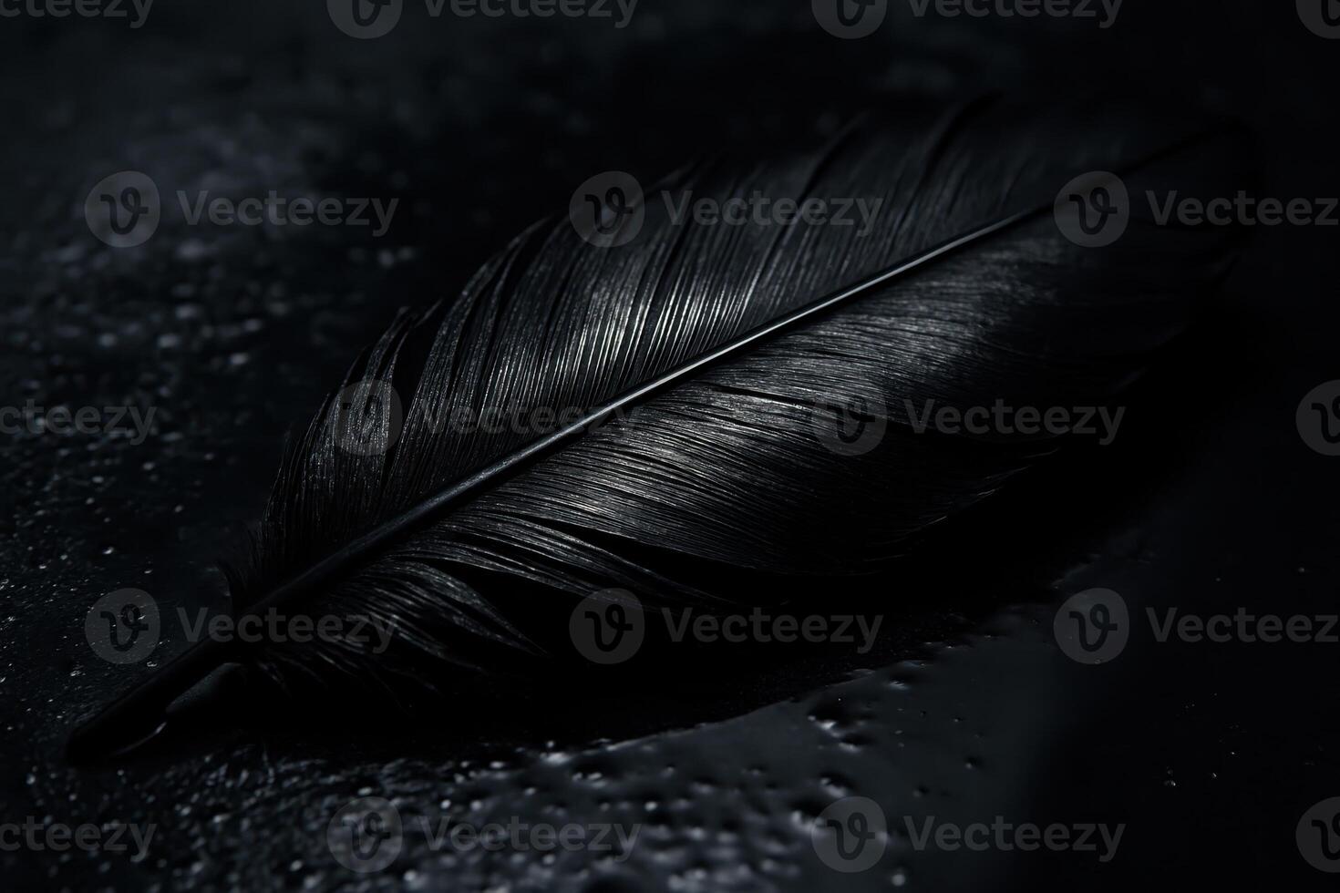 Dramatic close up of a single black feather with water droplets on a dark, wet surface photo