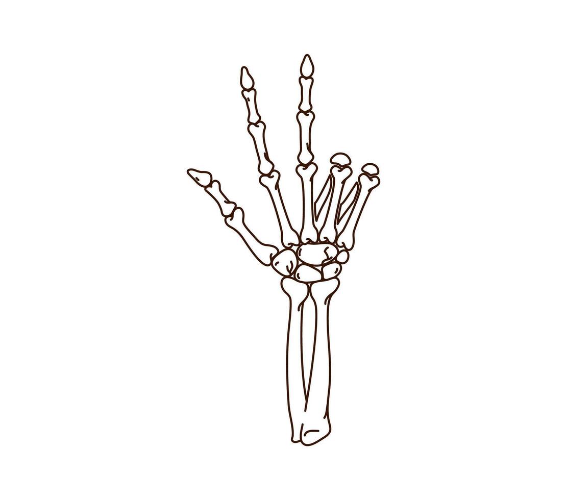 Cartoon groovy Halloween skeleton hand gesture on white vector