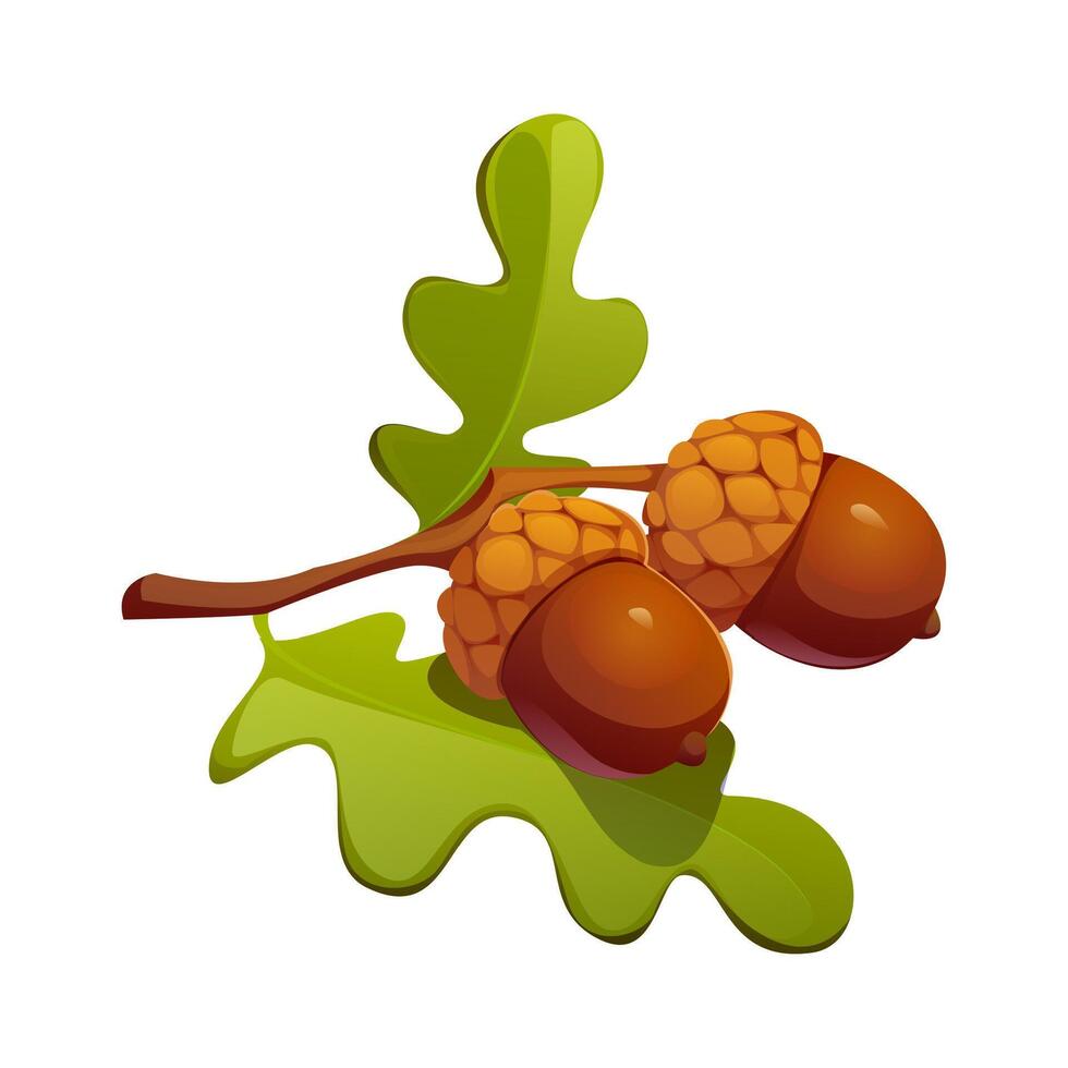 Cartoon autumn acorns and green oak leaf vector