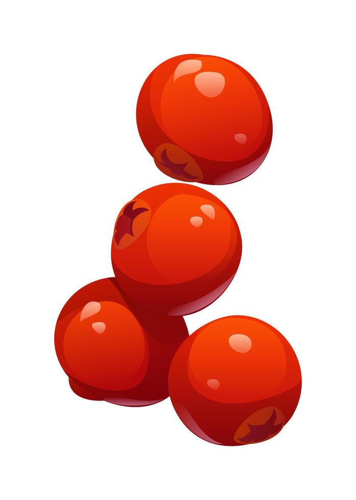 Cartoon shiny red cranberries, harvest symbol vector