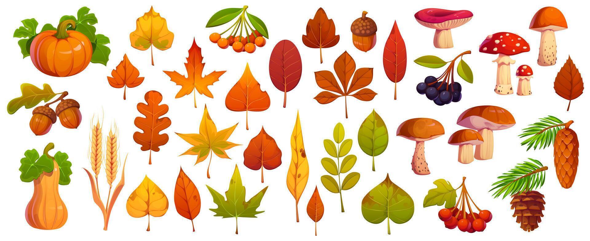 Colorful autumn leaves and mushrooms vector