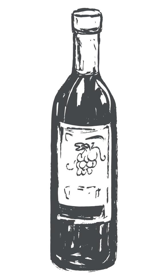 Wine bottle isolated on white background. sketch, vintage. Hand drawn ink and brush. Quick drawing for menu, design, label. vector