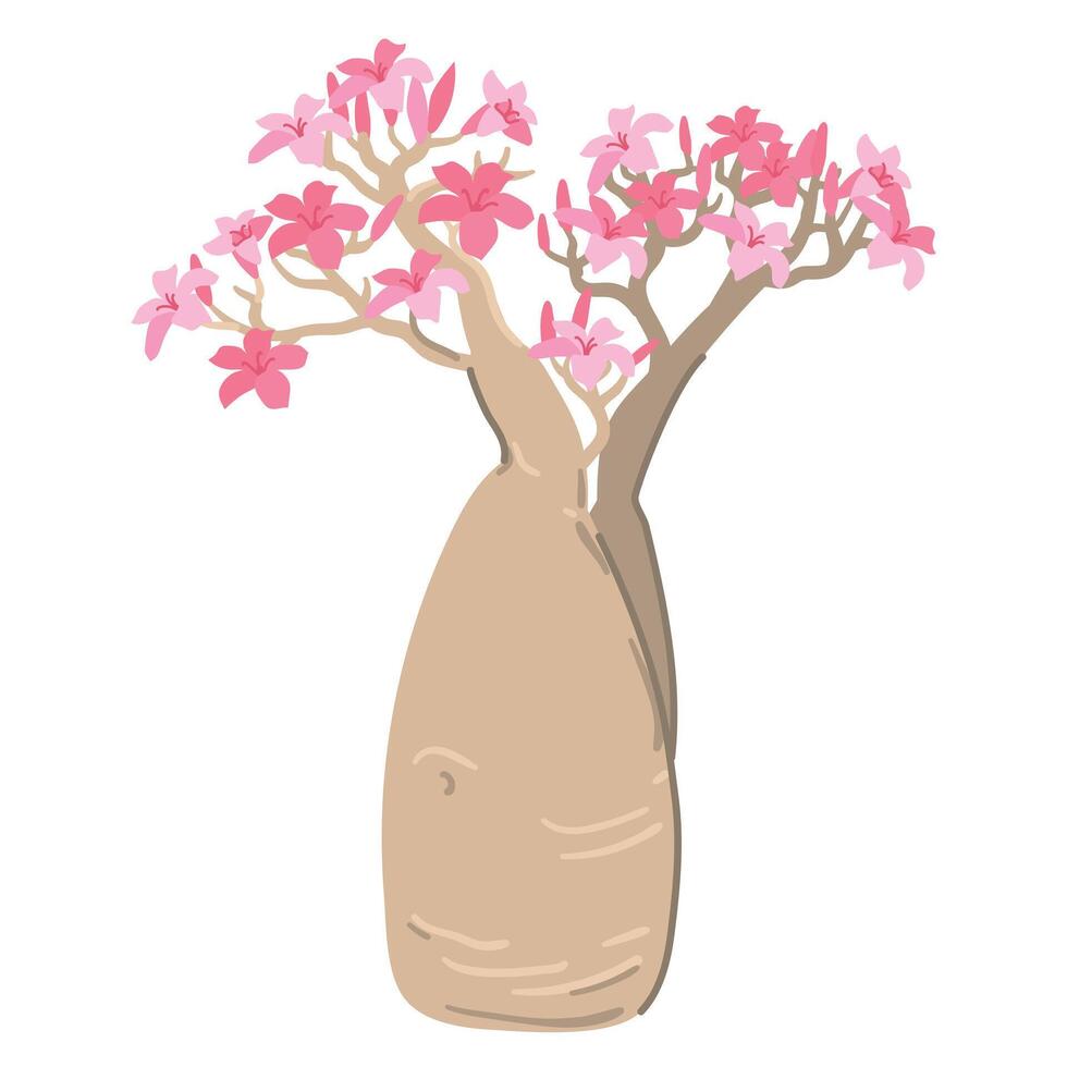 bottle tree with pink flowers. Adenium socotranum landmark of Socotra island in Yemen. Isolated Desert rose, Adenium Obesum or red impala lily in bloom. vector
