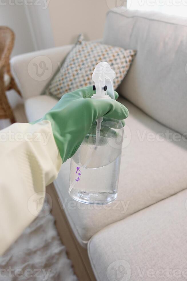 Cleaning a couch with spray bottle and gloves photo