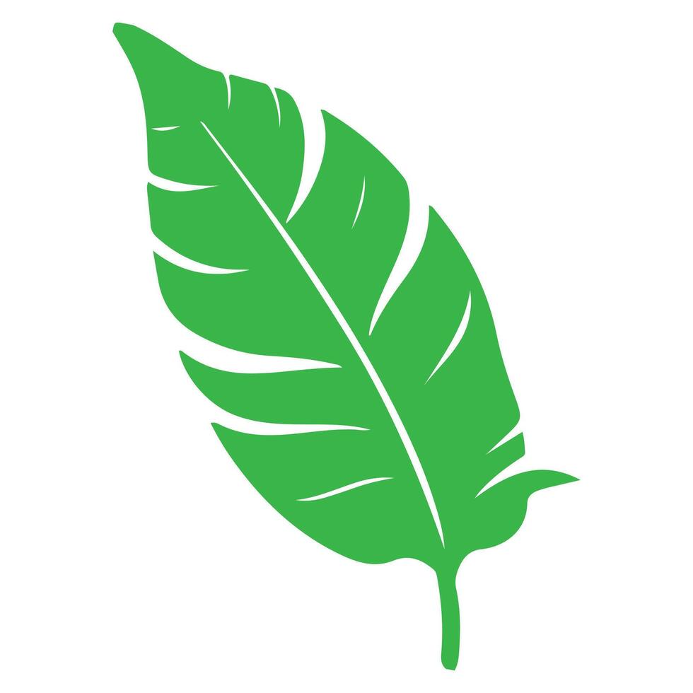 Green leaf illustration isolated on white background vector