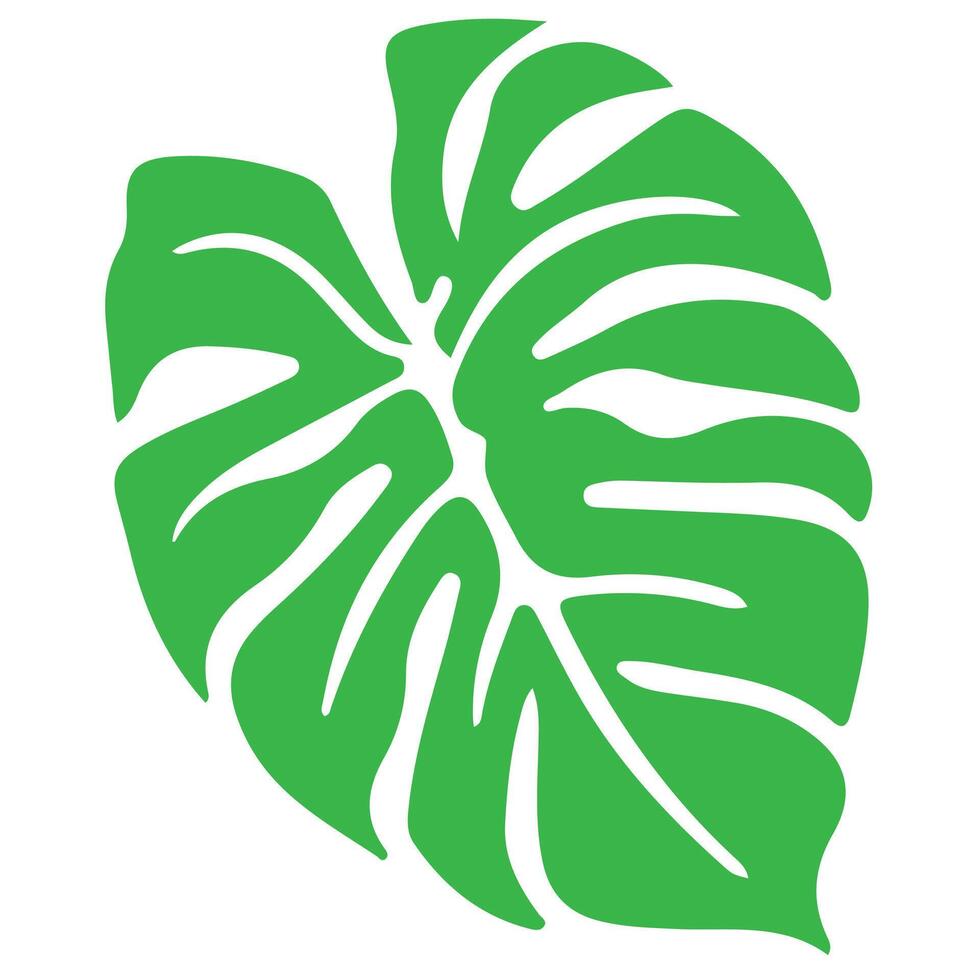 Green leaf illustration isolated on white background for nature plant eco design vector