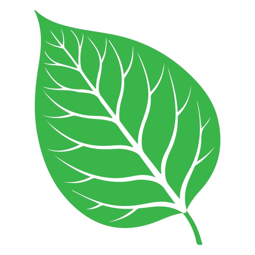 Green leaf icon isolated on white for eco nature design vector