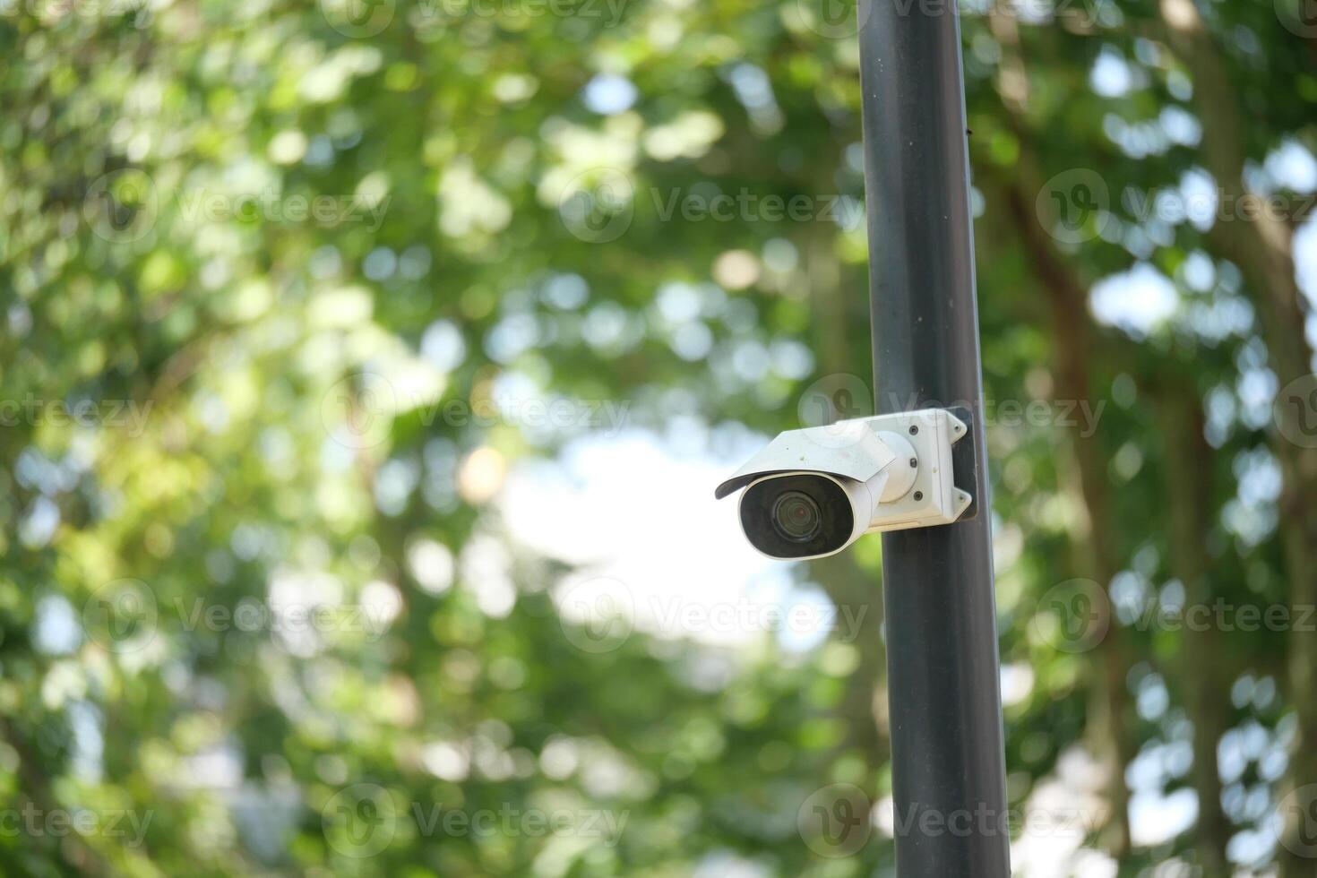 Security camera mounted on pole in a lush green area photo