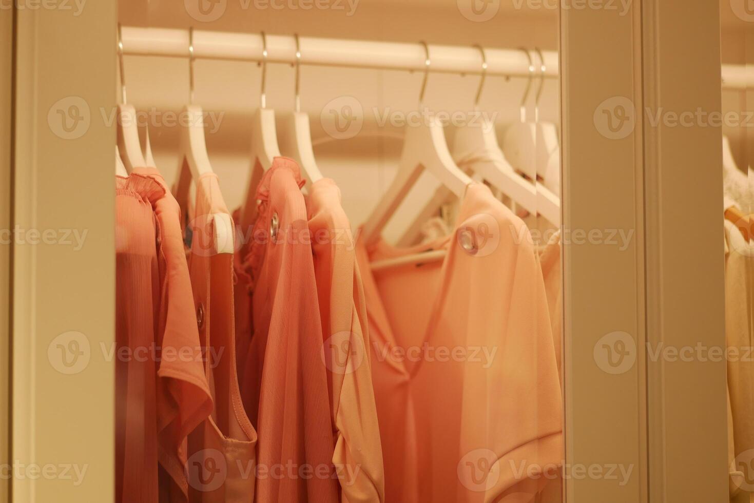 Soft pink clothing hanging in a well-organized closet photo