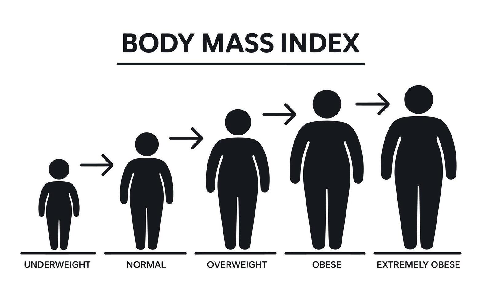 Body Mass Index Chart Showing Stages of Weight vector