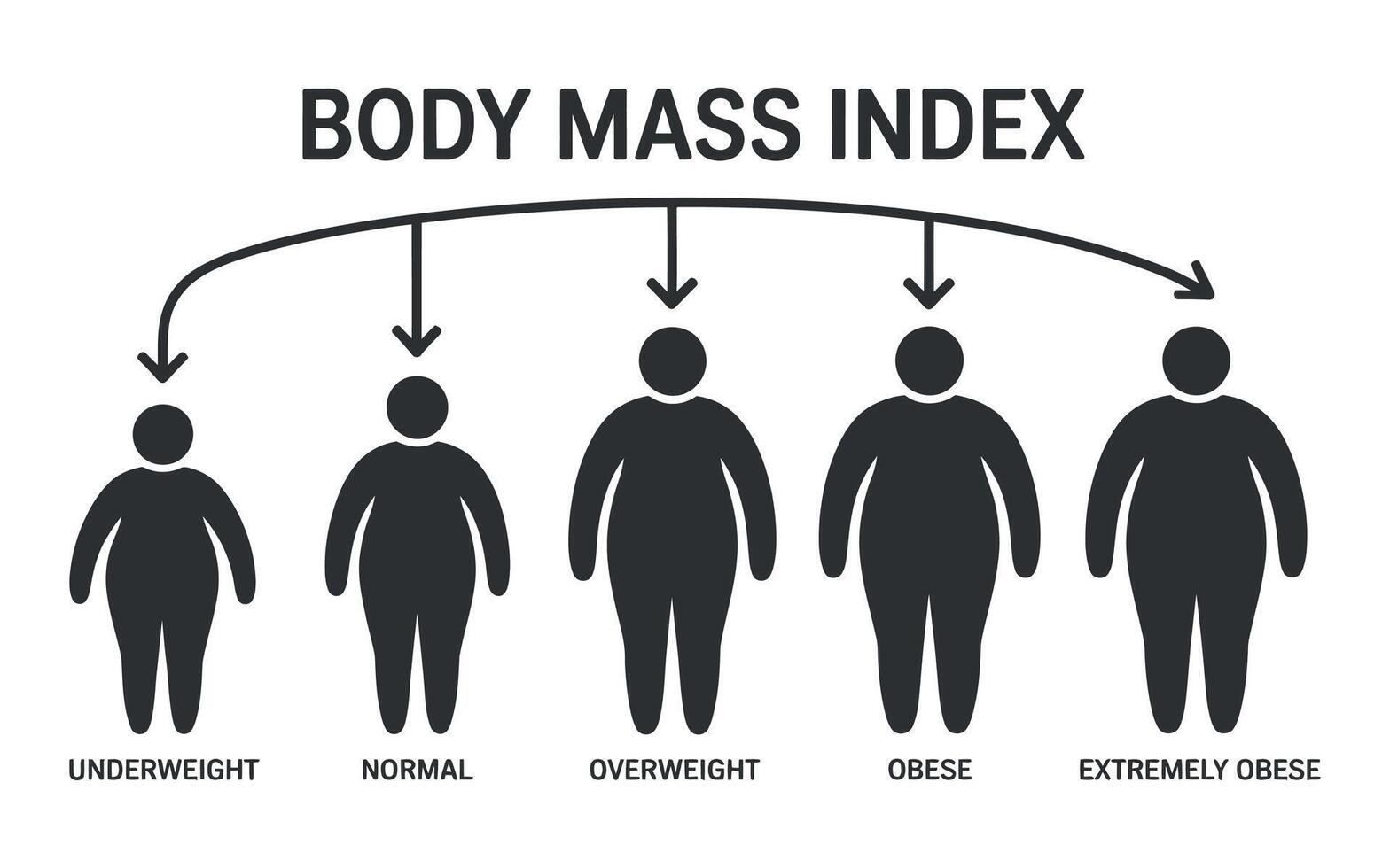 Body Mass Index Chart Showing Underweight to Extremely Obese vector