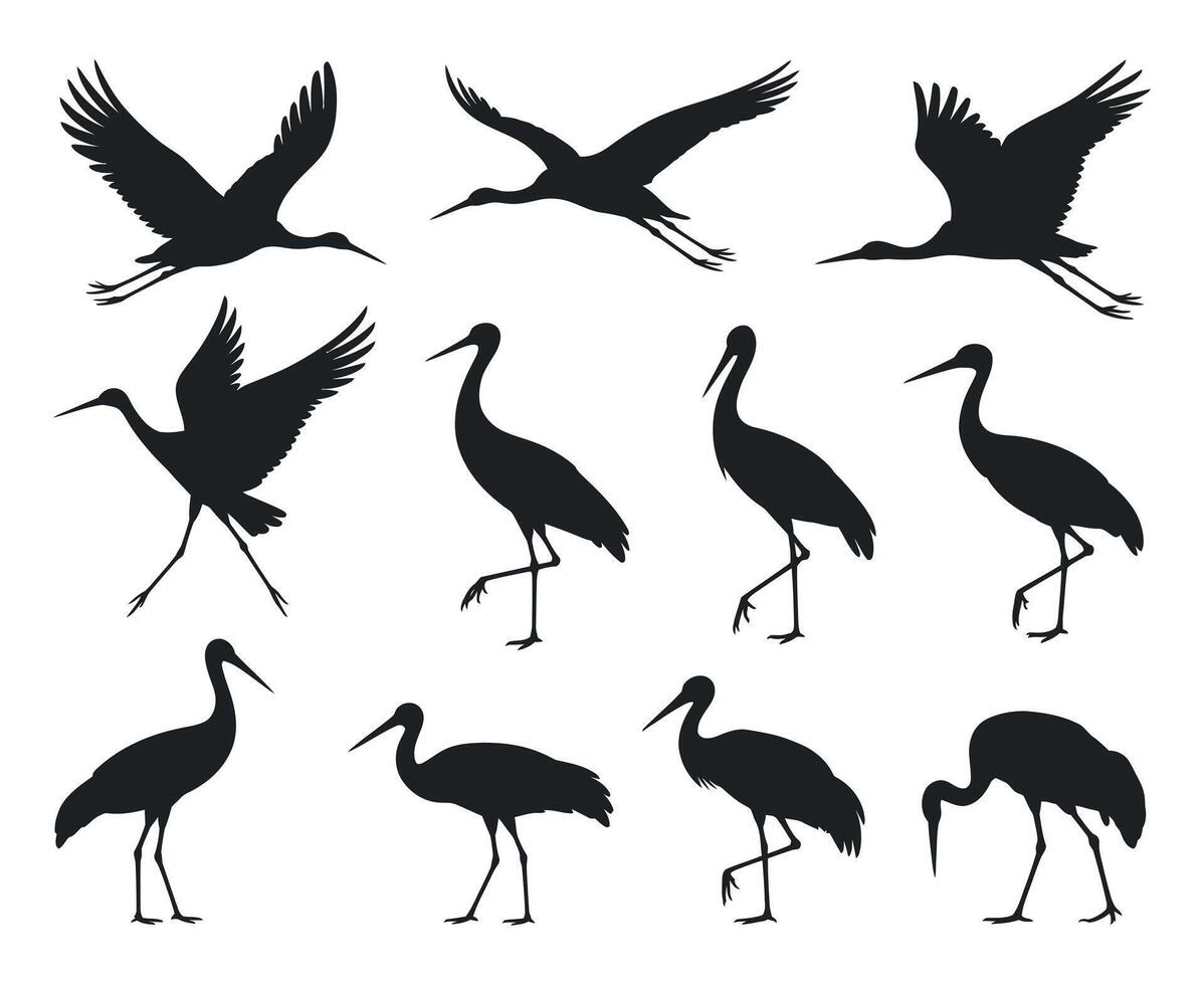 Collection of Black and White Crane Silhouettes in Various Poses cranes flight standing positions crane bird silhouette black white flying standing animal wildlife vector