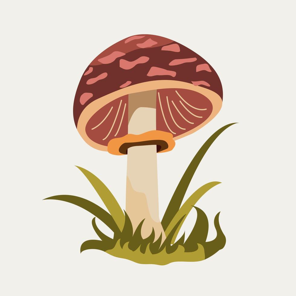 Mushroom with spotted red top and cream stalk standing in grass. For woodland graphics and nature themed visuals. vector