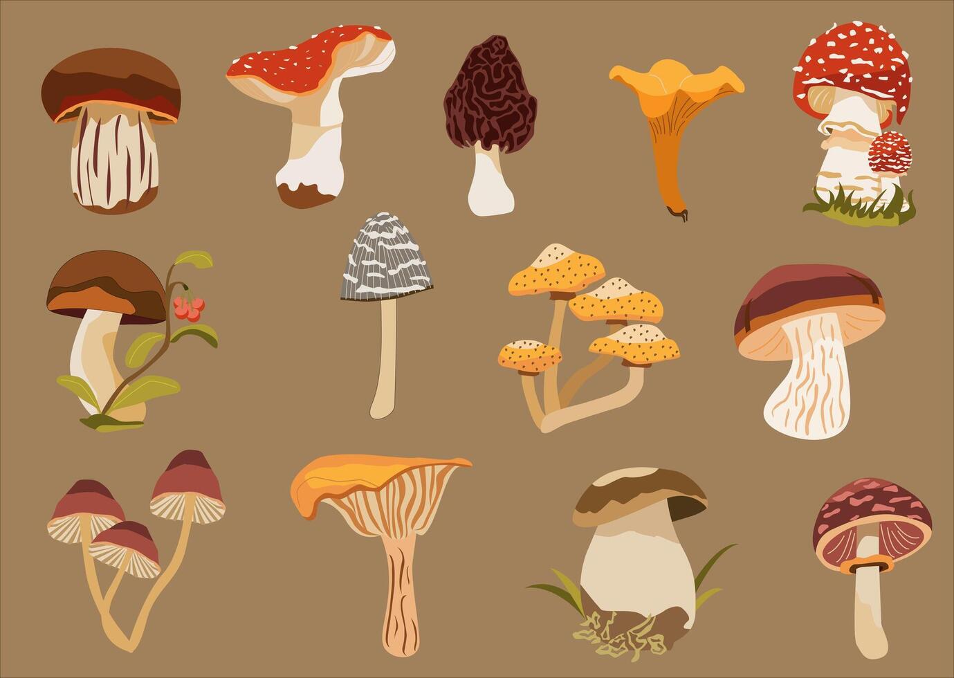 Various illustrated mushrooms on a brown background vector