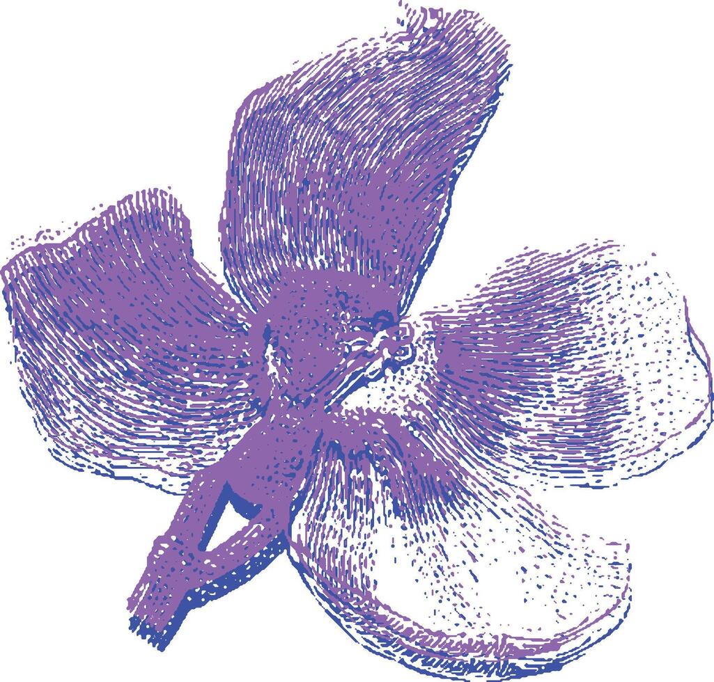 Purple flower with detailed petals in a handdrawn botanical illustration. Isolated, decorative, and modern plant drawing for natural design. vector