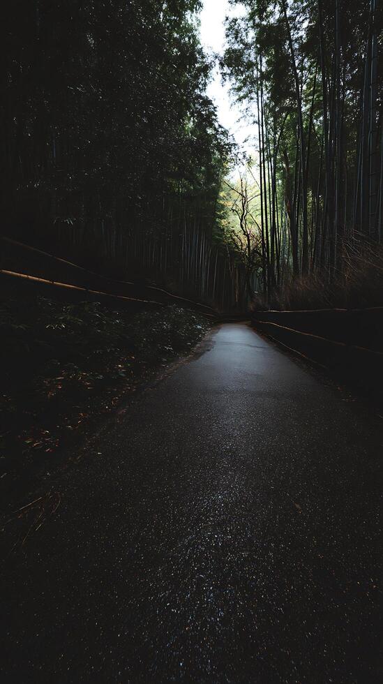 Serene Path Through a Bamboo Forest A Tranquil Scene in Nature. photo