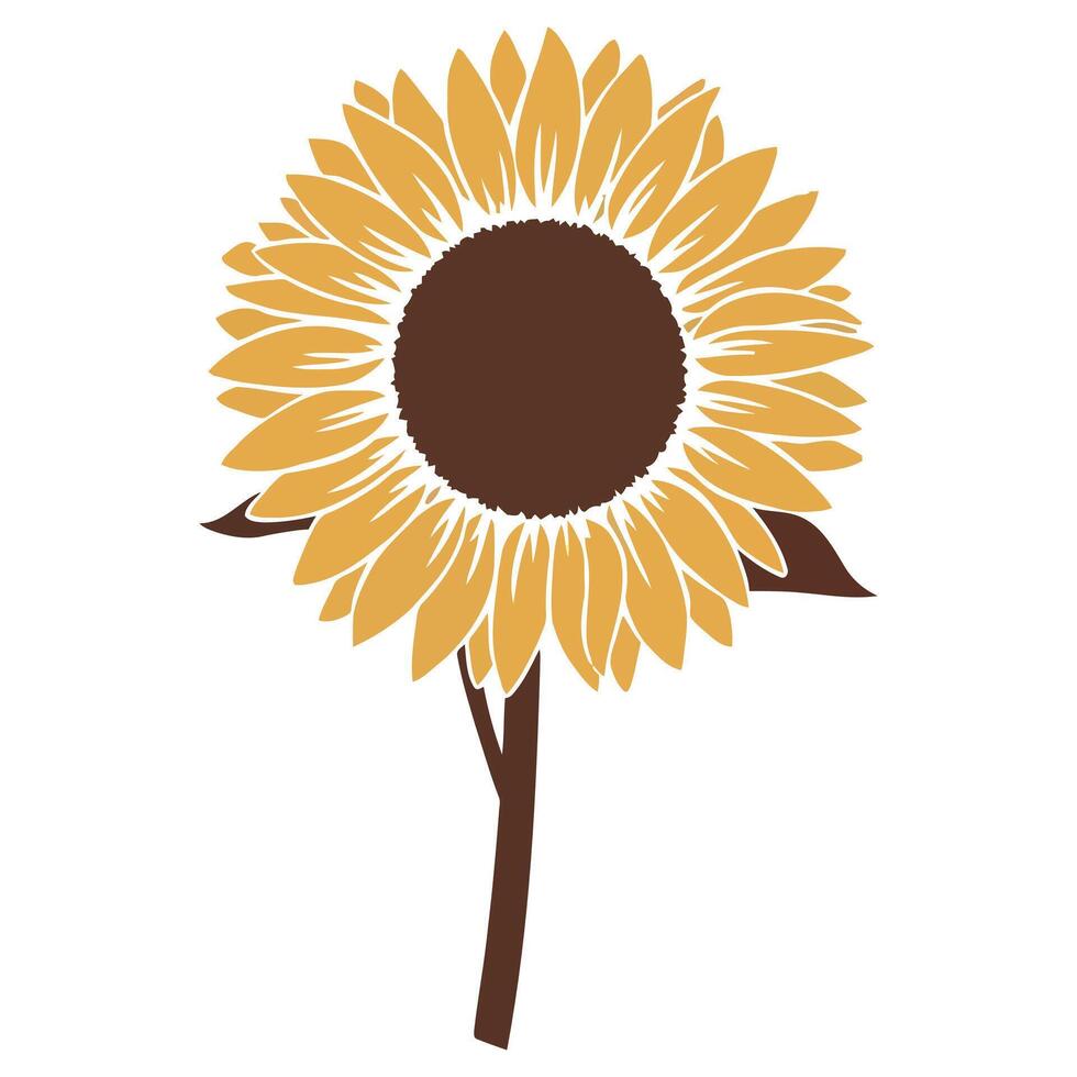 Stylized sunflower with brown center and yellow petals on a white background vector